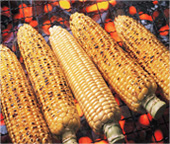 トウモロコシ
